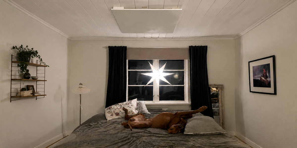 Brun stor hund ligger avslappnad på rygg i sängen under en takmonterad infrapanel från Infracenter.