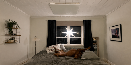 Brun stor hund ligger avslappnad på rygg i sängen under en takmonterad infrapanel från Infracenter.
