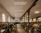 Power 1600W Infravärmepanel – Kraftfull Infravärme för Uterum, Balkonger, Garage & Yogastudios