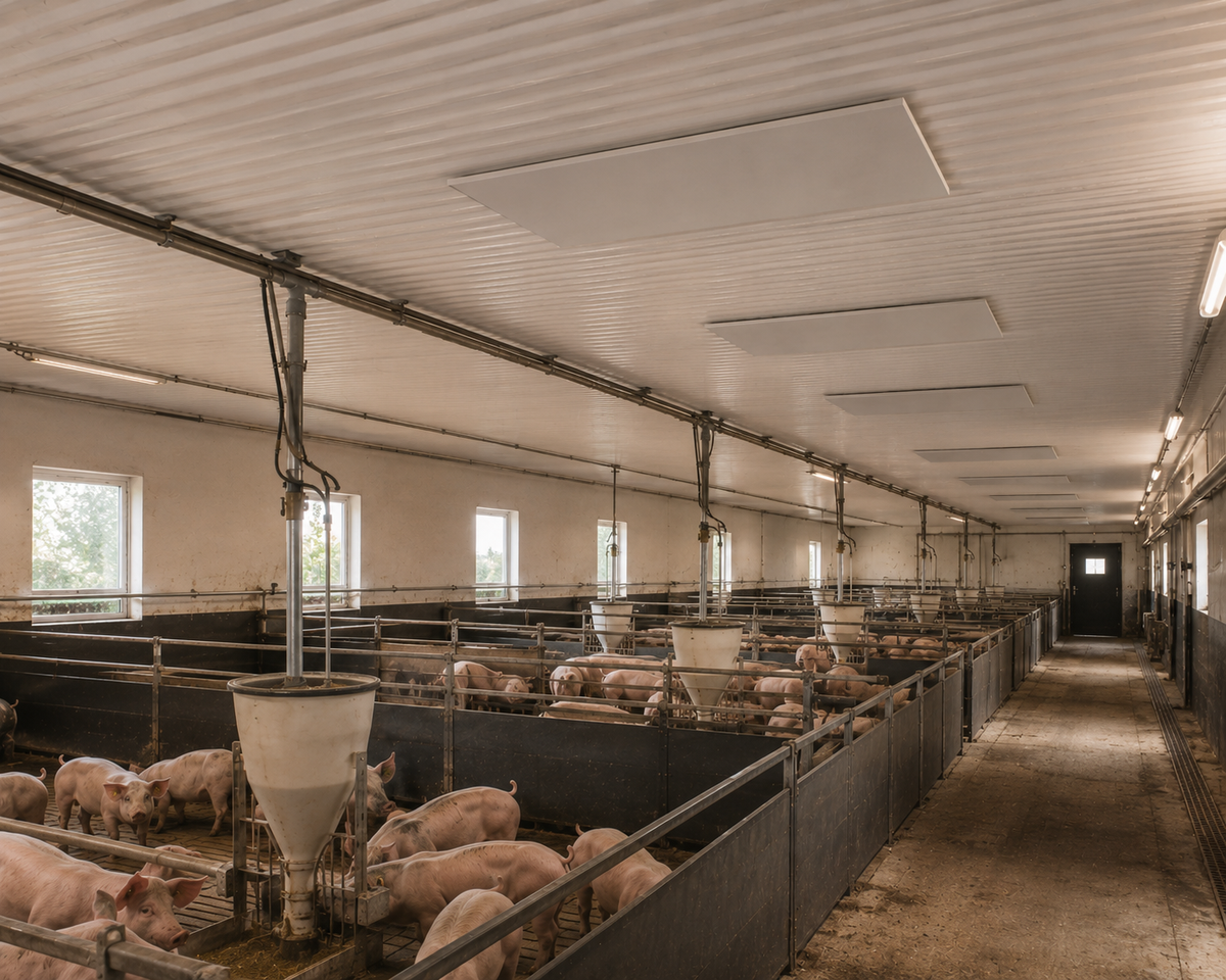 Power 1600W Infravärmepanel – Kraftfull Infravärme för Uterum, Balkonger, Garage & Yogastudios